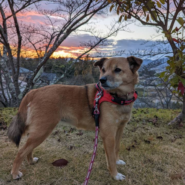 B0c59309 ae28 4df4 a770 4d2889c5ecd4 1669021948853