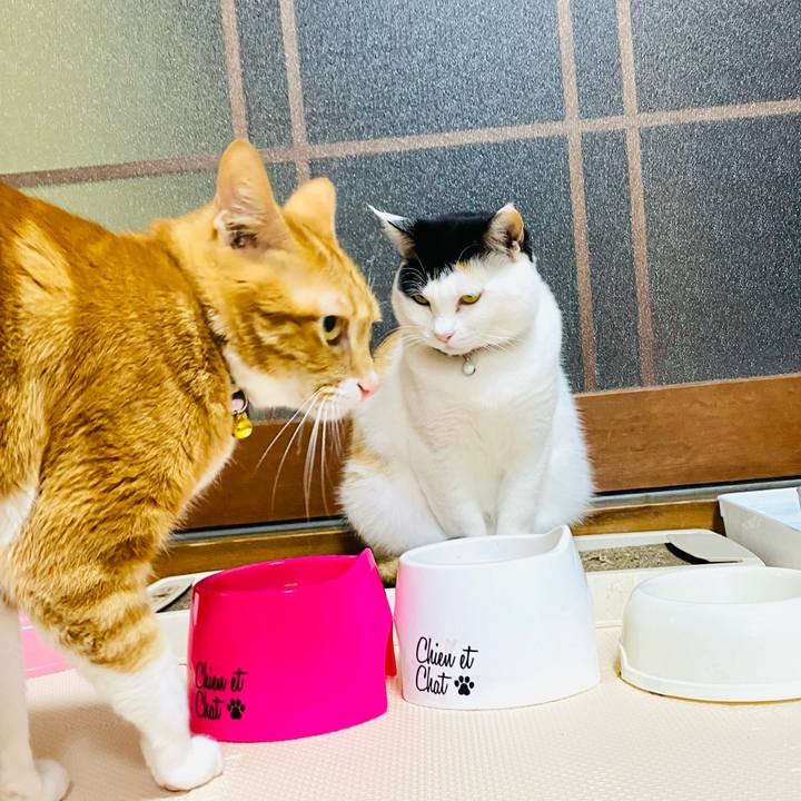 B0c5a6c5 5b41 4a7c 89a7 3e6a9c090e10 1675334728957