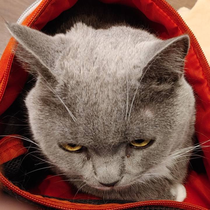 B0c5c214 000a 4ae7 a157 35cc407ee65c 1630403867180