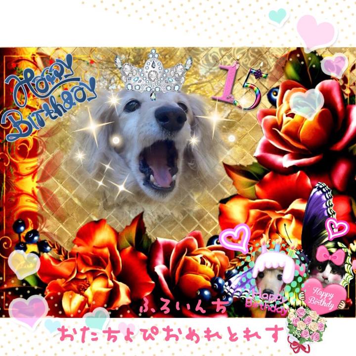 B0c5c318 cc9a 4cdc b5ab bd75444414ec 1513724596928
