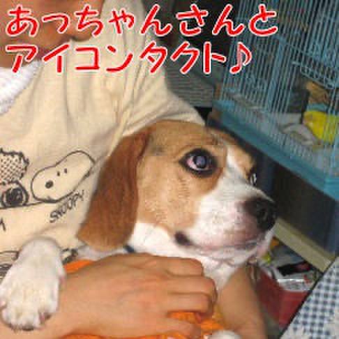 B0c5c863 62b3 4455 82f2 7b1b3d7bc295 1724971726587