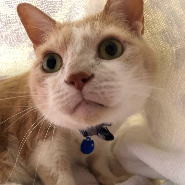 B0c63464 dfae 4f58 866c 8d1566ba685d 1558836588845