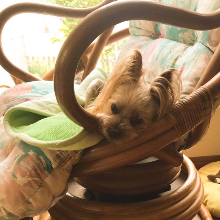 B0c6361e 8d61 4e79 99d4 e6cde373e7bc 1564389088192