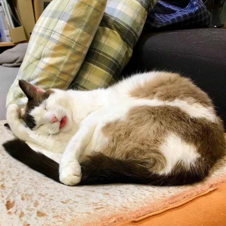 B0c67405 cdfe 49c8 a1dd 484b94d03666 1551100460974