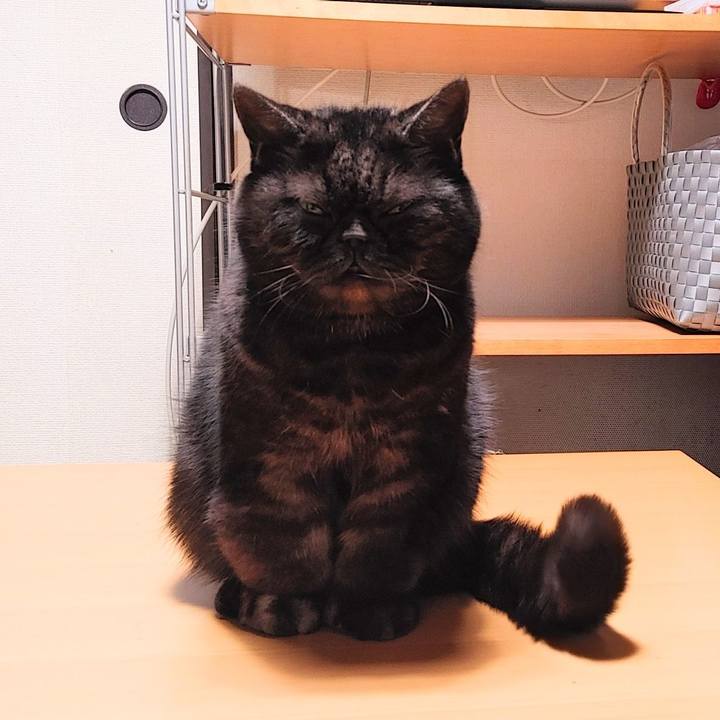 B0c6b515 f1d5 4a35 8189 2cc9a097e796 1647612104321