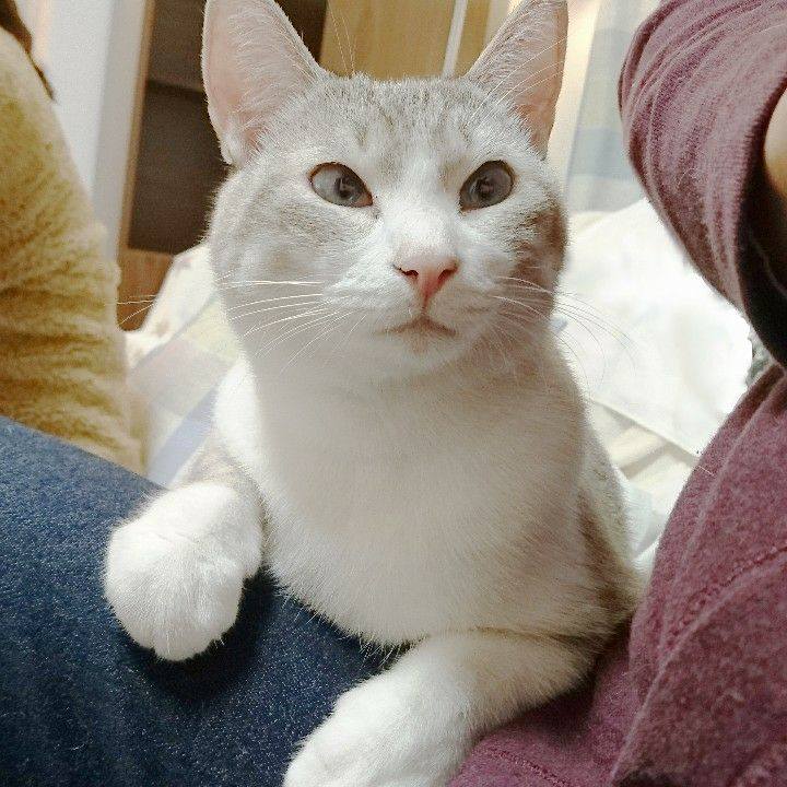 B0c6e0d6 7e17 45fc 97a4 57928f682c42 1543827175377