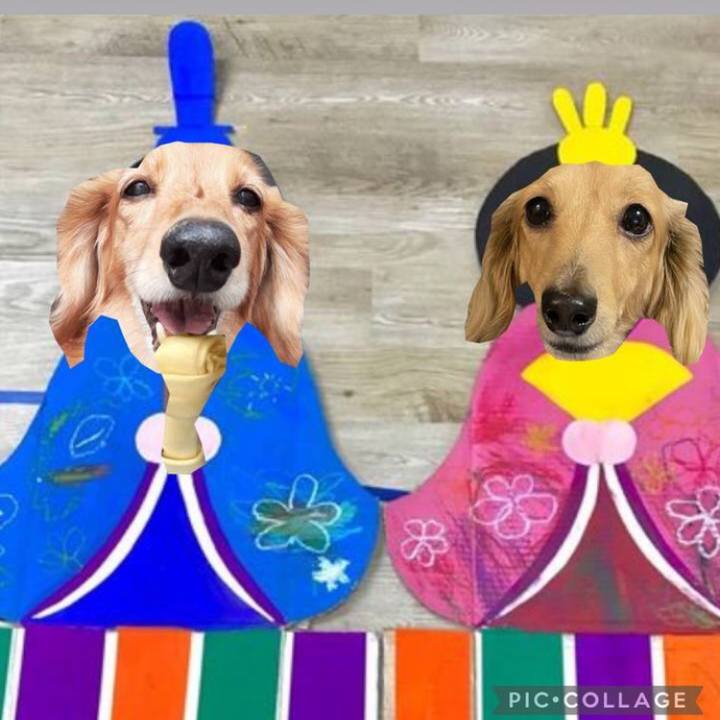 B0c6f9ad 709c 456c a0d7 98974de2ce06 1614950500857