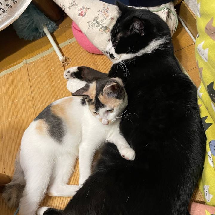 B0c7184d 9a91 47ef a2ce bdff853e2a80 1664199290566