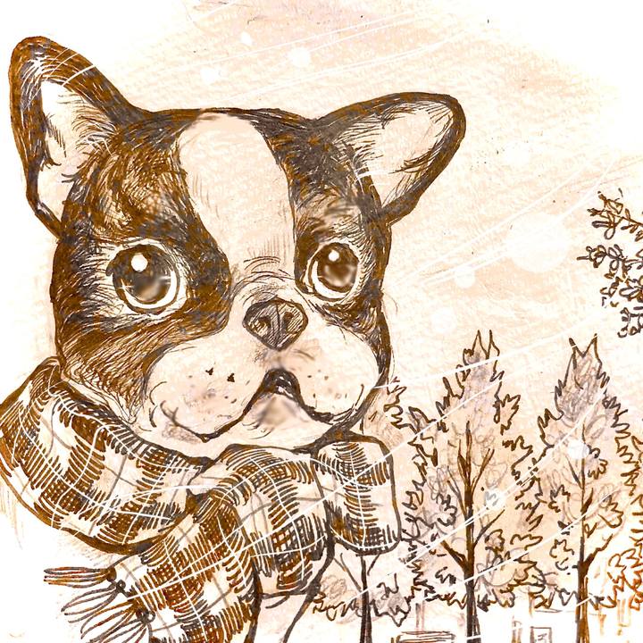 B0c72426 822b 49be bdc8 46acf97b3d7d 1634618007543