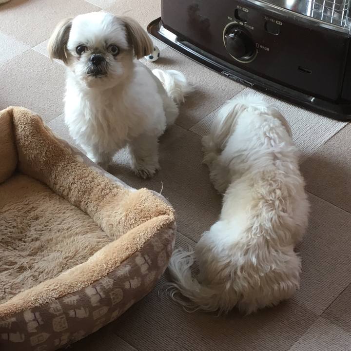 B0c724cd 6a9b 49c9 b006 eb563e2064c4 1519883309471