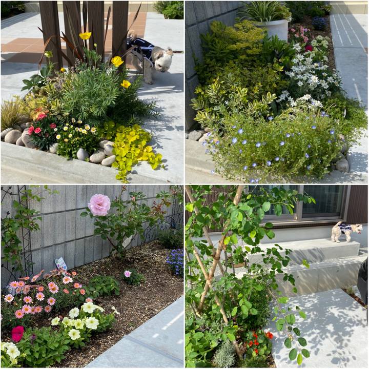 B0c72b90 25d0 48a7 b825 30f5bf8b5563 1621762819683