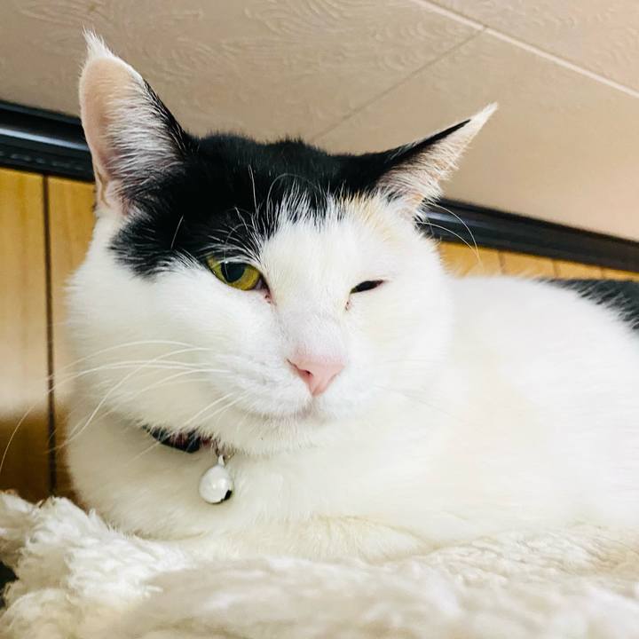 B0c73962 e7c2 4dec 8cb6 49c9b9280c0d 1682459097093