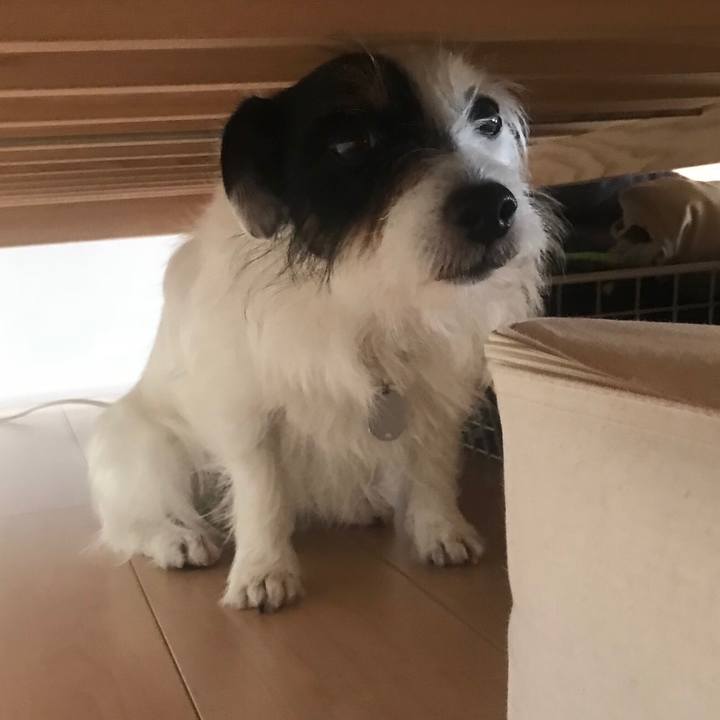 B0c766c5 ea5f 43c9 aee8 9da44602096b 1528345358653