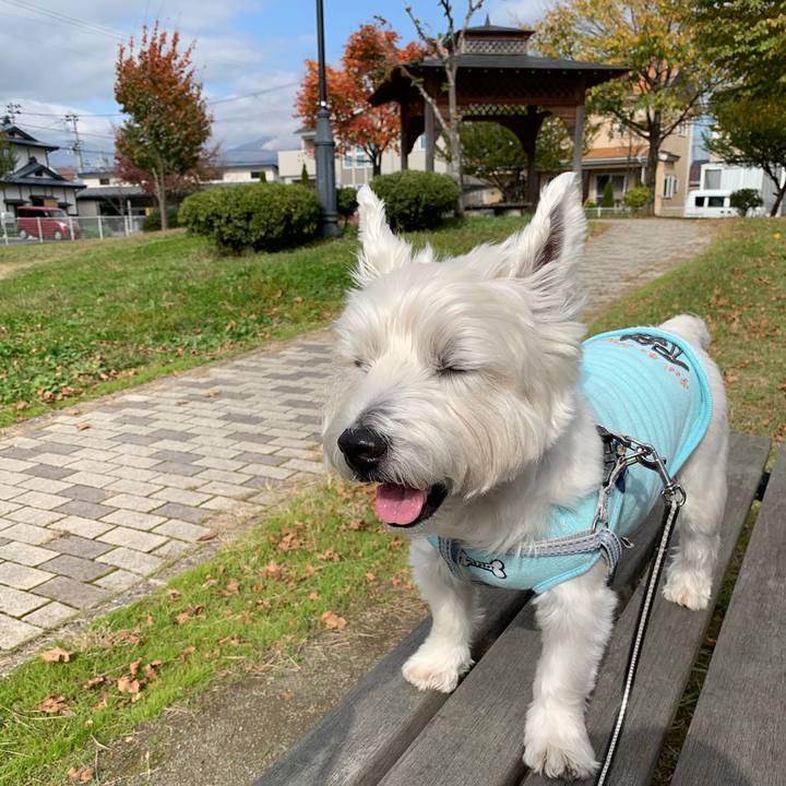 B0c79a47 397c 4751 8b53 ede518c30f68 1572616762203