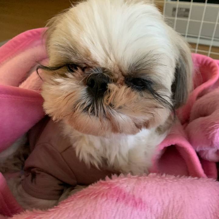 B0c7ea46 bbdc 487e bae4 14c591b344f3 1646556702906