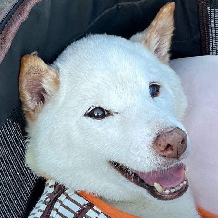 B0c7f86b 70f3 4cd1 8ee9 c76c97a25468 1667483067796