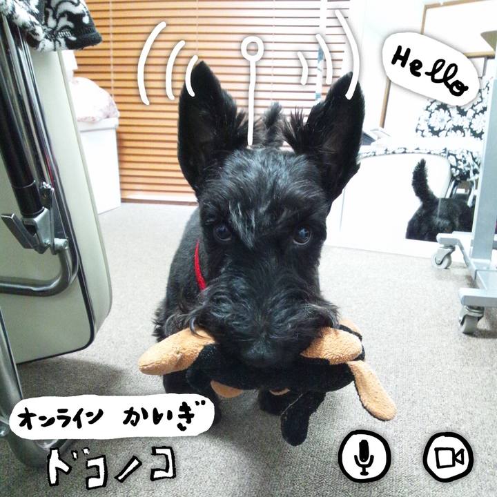 B0c7f9be 4b46 4016 968f f4d368238ba0 1590853169486