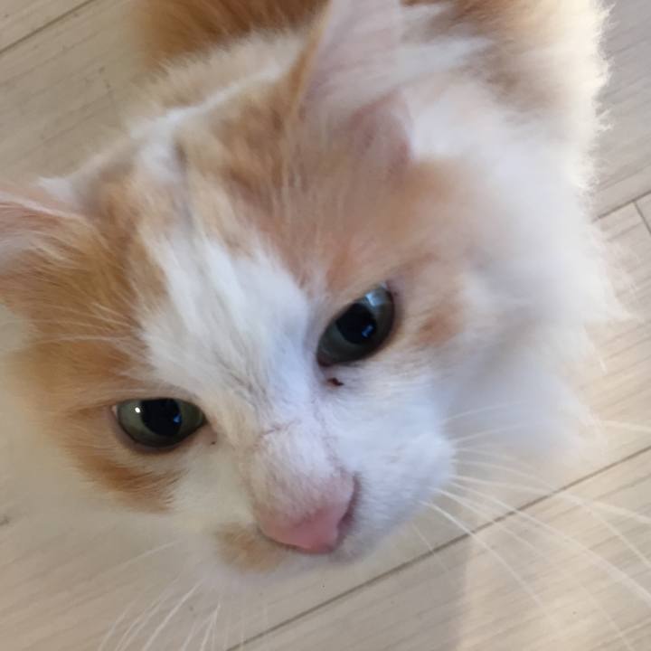 B0c7fc53 635d 4a6b 92d1 0990b9c759c8 1524431591325