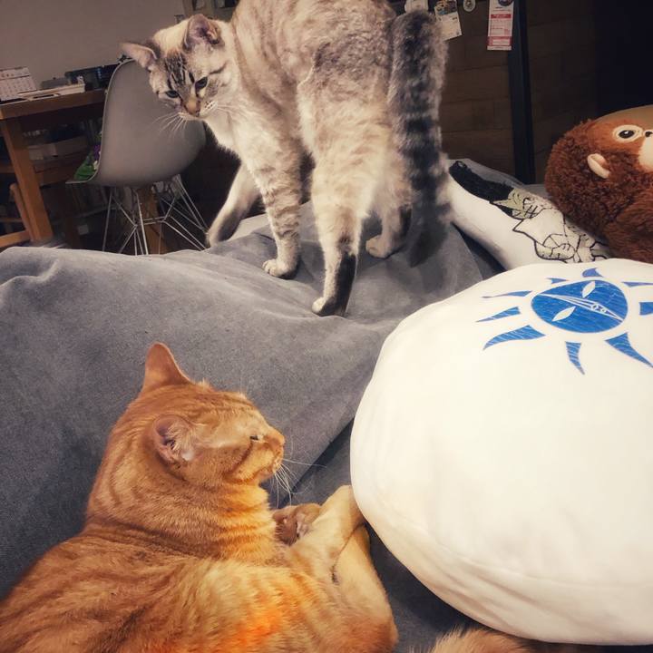 B0c7fd55 6d9b 4d9c 9d6a 57960bc3d5d5 1746062462214