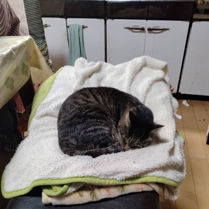 B0c7fffb 95c0 42f3 96e7 4380907ff21a 1730376019756