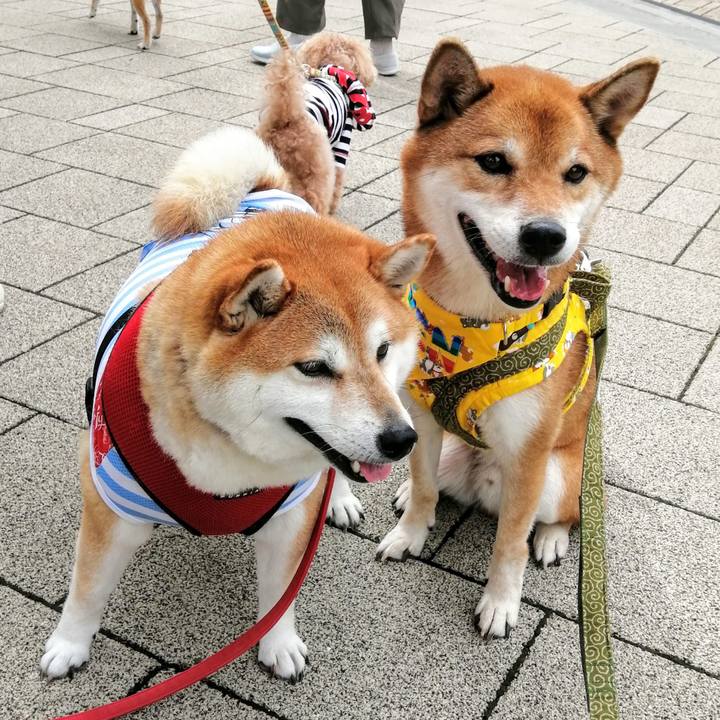 B0c80495 b4d8 44a4 b150 f5db5f6b10a9 1601189675413