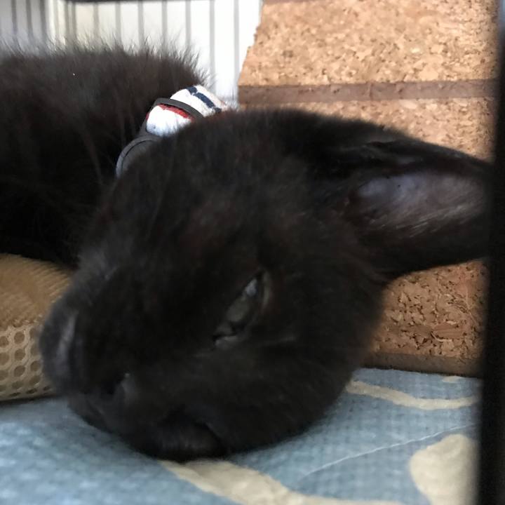 B0c82791 8f52 49ad 8e9d 00d890f9224d 1658899798118