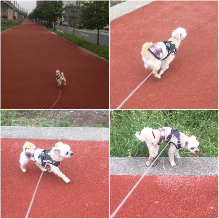 B0c85630 4659 4973 8d45 7051310ab9d6 1559984580455