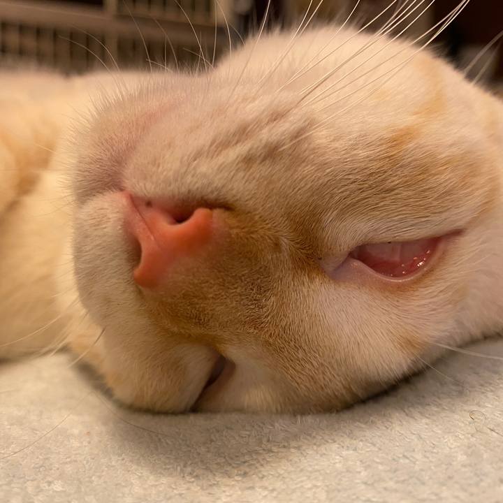 B0c86872 a672 43ad b58a eaabe9618477 1626011749453