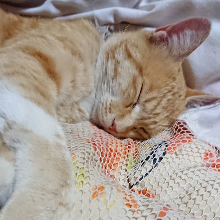 B0c884ae 155d 470b 95a8 62131b49b369 1591537476266