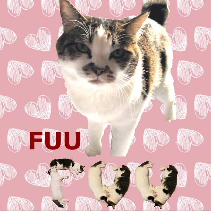 B0c89629 09a6 48c2 bbe4 58940605802e 1668300704927