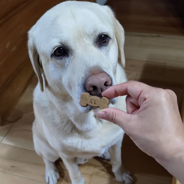 B0c89c45 2eff 4266 868d 79e889d20cee 1652873748269