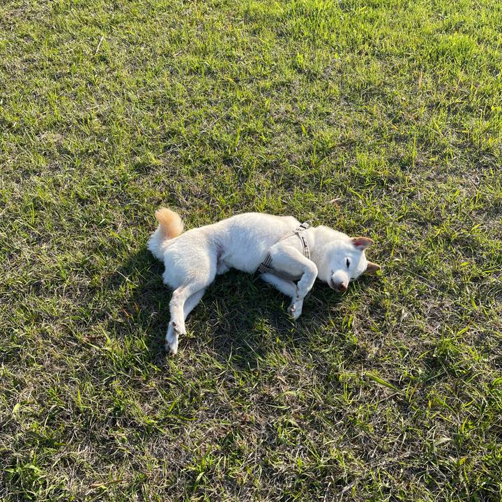 B0c89f01 bb39 45bd 8f6a 7c03256a4687 1649073561303