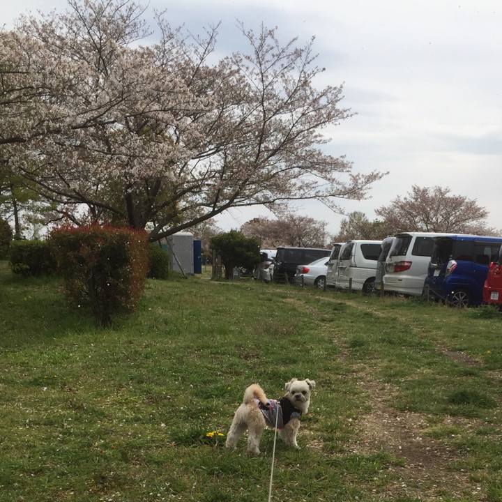 B0c8b0ab 2415 48b6 90fa 817927331946 1555229779859