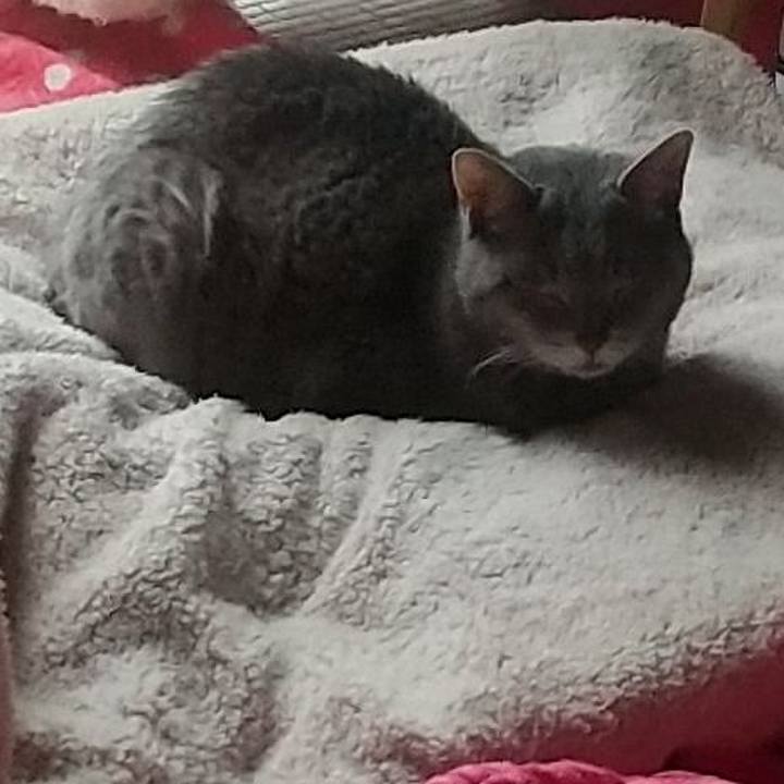 B0c8df97 0d5b 4eb9 aee8 bcf2dcebc899 1679533758513