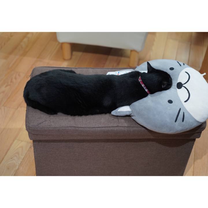 B0c8fc0f b5a8 4cd9 b997 f925338828e6 1620727330270