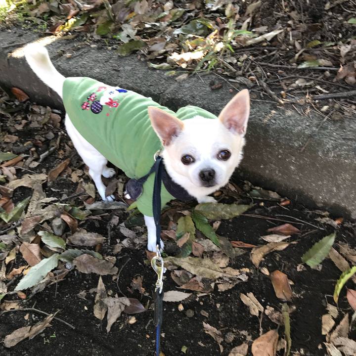 B0c917ed b68d 4d24 8478 876723b2dd12 1509098841913