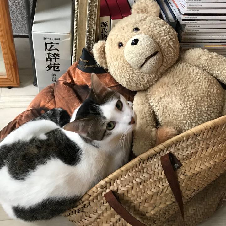 B0c91982 2296 49d4 98d7 f3b6ed5c7455 1513692996684