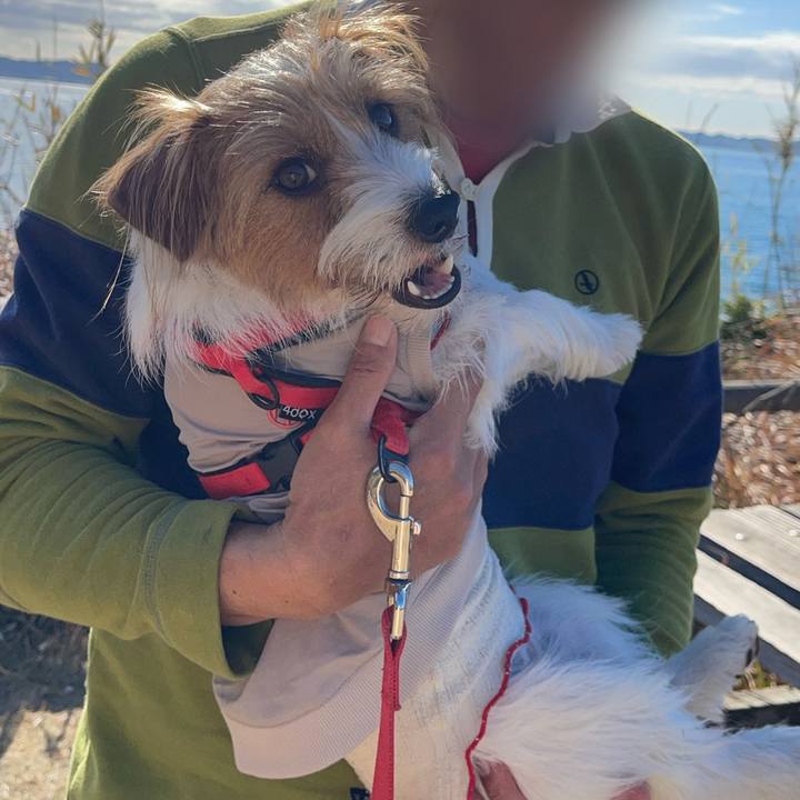 B0c92356 34cf 4b27 bf53 93073999a3c8 1768397039549