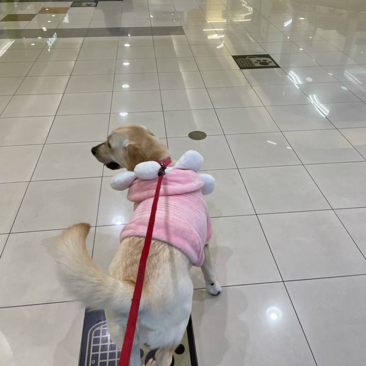 B0c9646c b0ec 4dd2 9661 2bebabc8e8dc 1635301464879