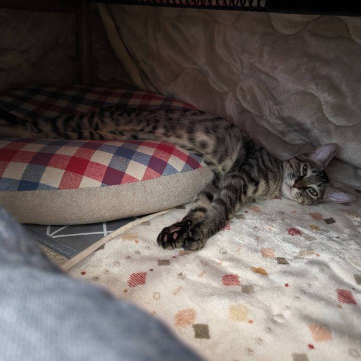 B0c99571 6c2e 45fc 8c68 d59a1485e699 1705032461381