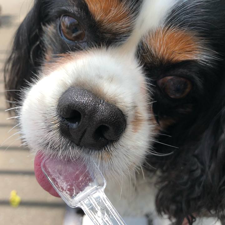 B0c99b6c a66f 4a7d a168 30ae34ba7945 1530239617370