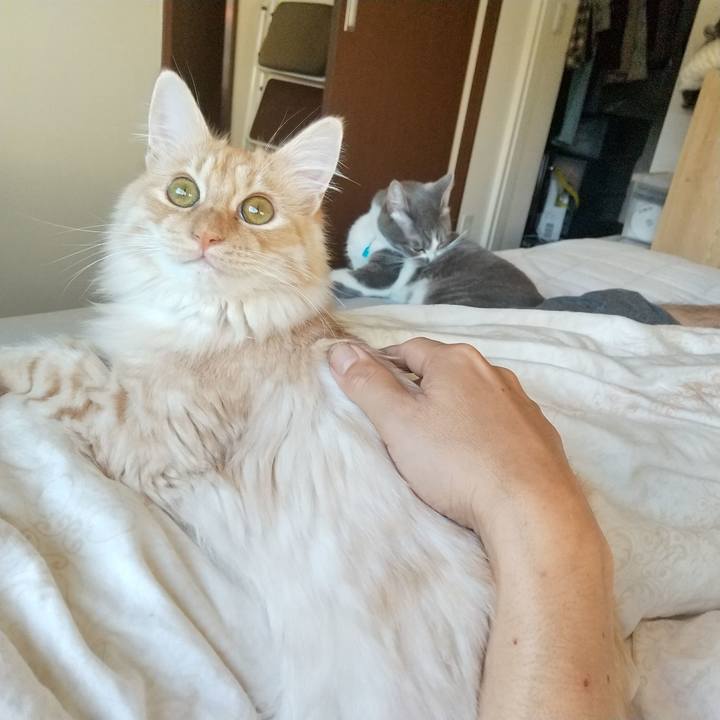 B0c9c313 efe7 40a6 b4ec 65d855c95fca 1622496915572