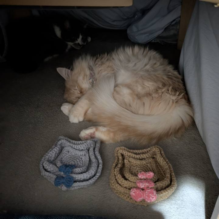 B0c9cb6a e0ff 4d1a 8817 2c62e0ad2d4c 1769694845320