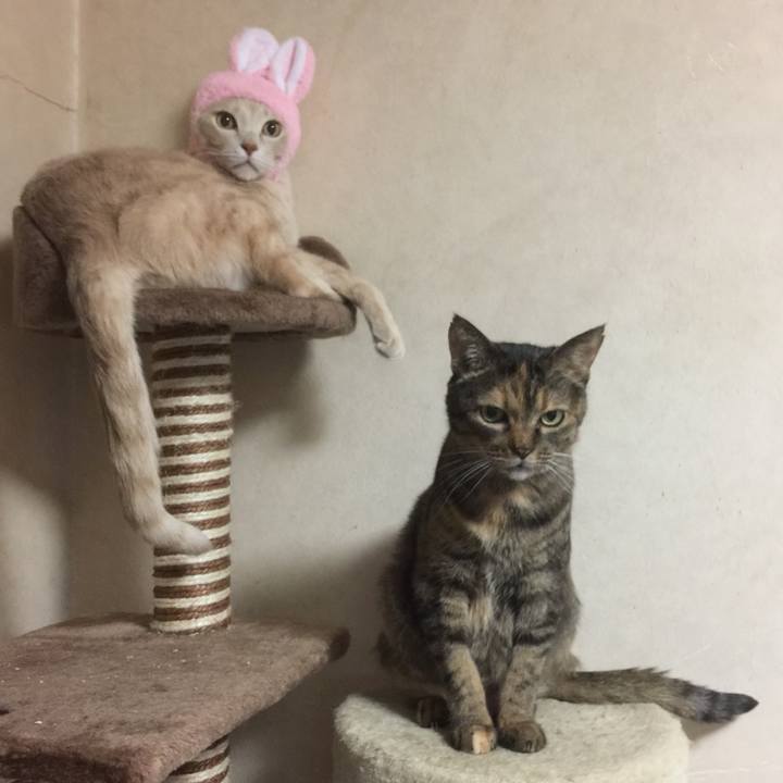 B0c9f4e3 c8f2 4eca 98a7 3d68d4e91b0a 1672614033072