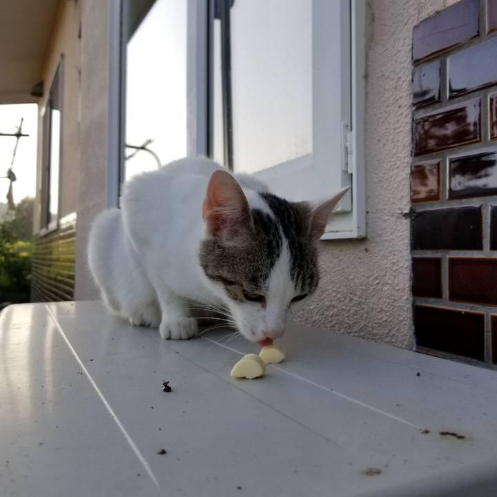 B0c9f63f bda1 41af be75 cacc96070b87 1596123015049