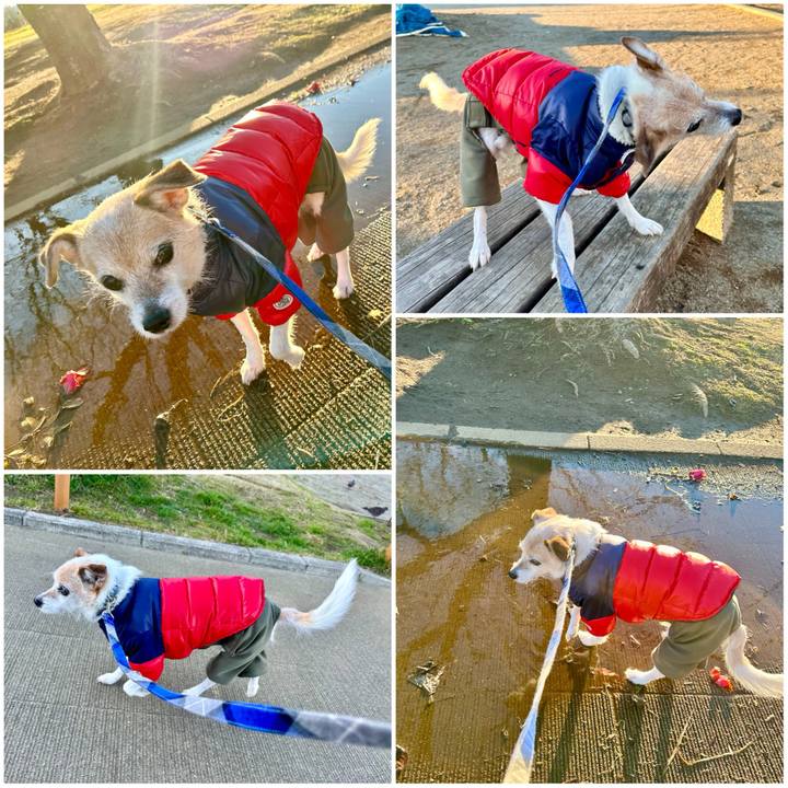 B0ca27de 1715 4592 beec 3fee900047be 1708988404377