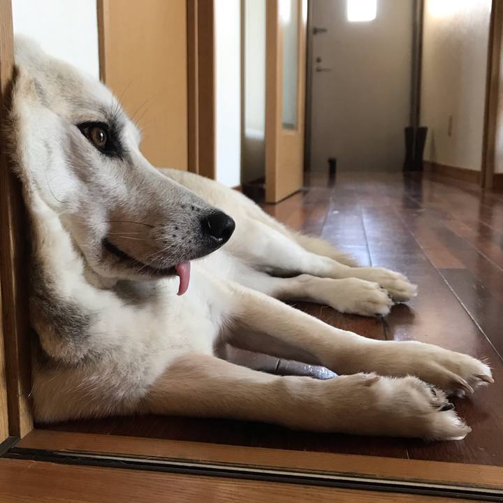 B0ca4a92 4323 48a9 a434 27d3a70f25ae 1559306530881