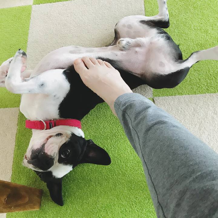 B0ca892f 72b1 4f6c adba f0789b9fd462 1527507301254