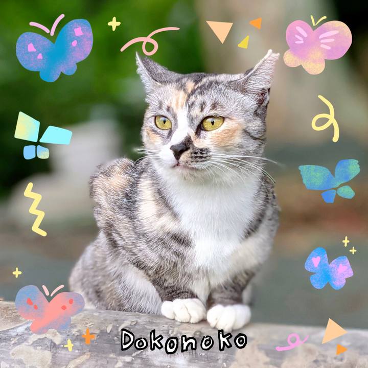 B0caddca 7b72 4aad a838 015f41b48038 1711186193096