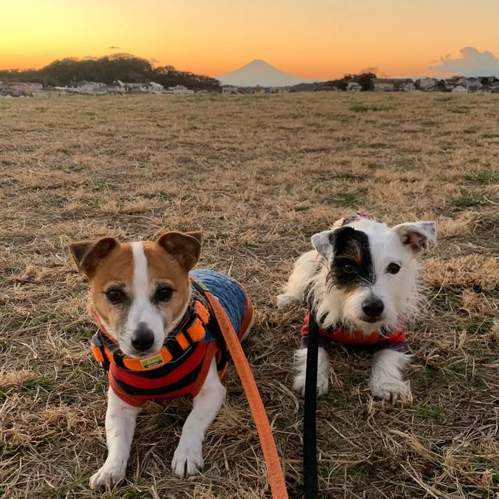 B0cae931 d15b 48b3 acd2 133fe5b72bd1 1608538485022